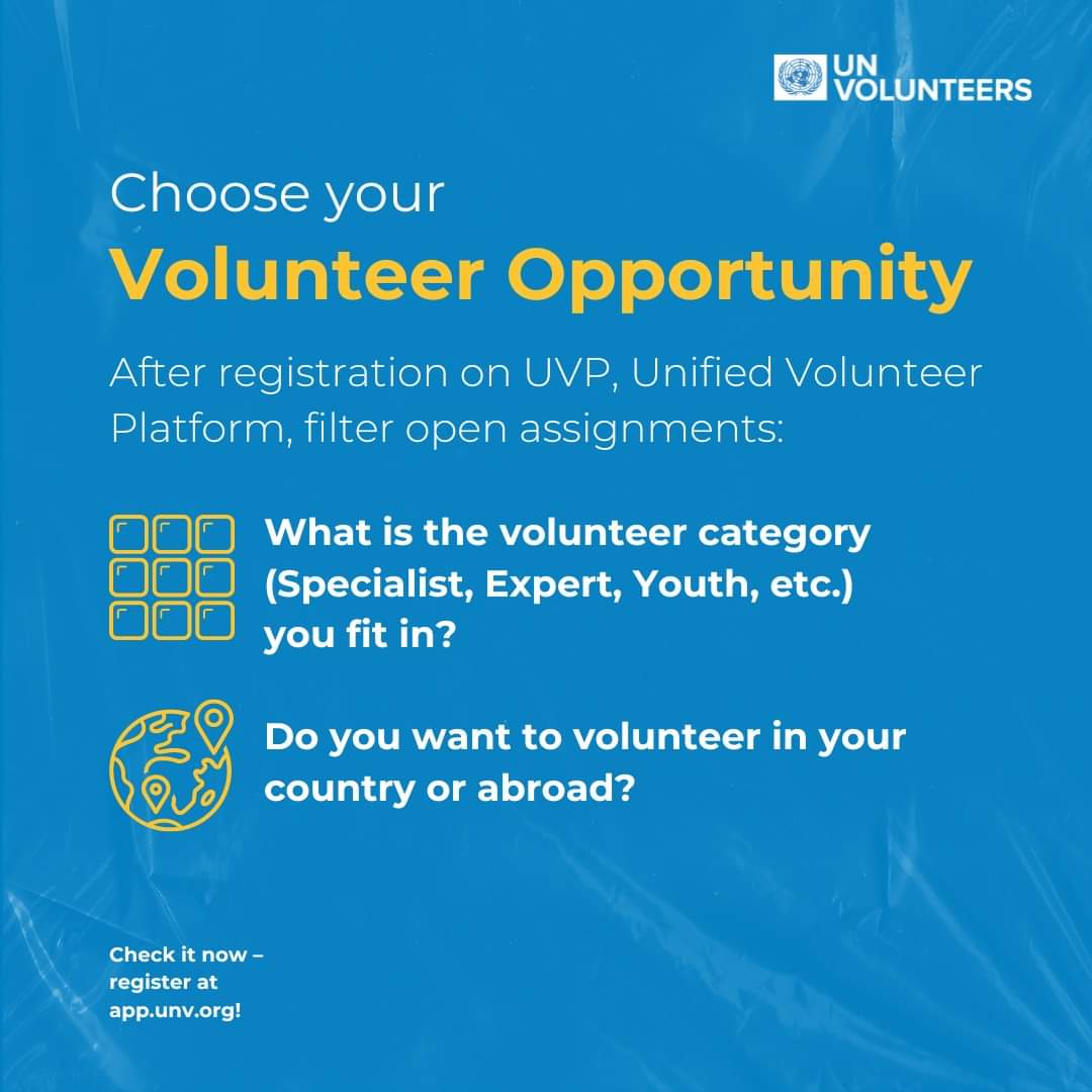 Are you planning to become a UN Volunteer?